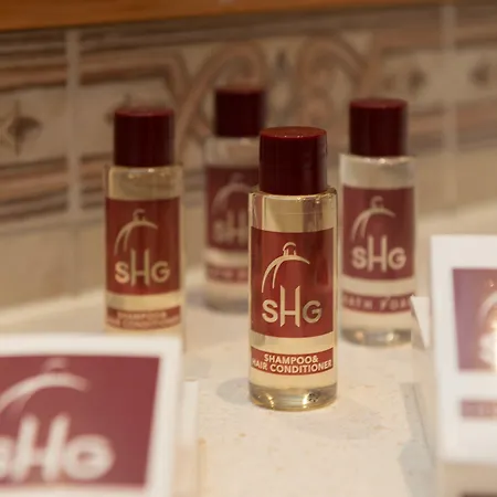 فندق Shg De La 4*