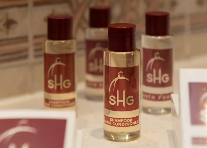 Hotel Shg De La 4*